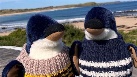 Saltburn's knitting nannas help Indian elephants - BBC News