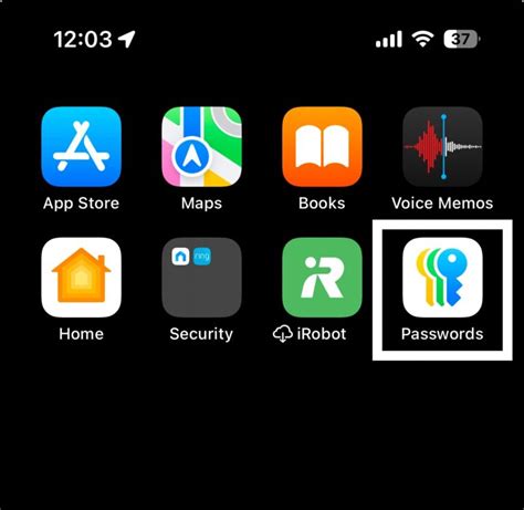 Passwords Icon is Missing on iPhone After iOS 18 Update • macReports