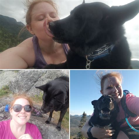 Ar Quizzes And Answers