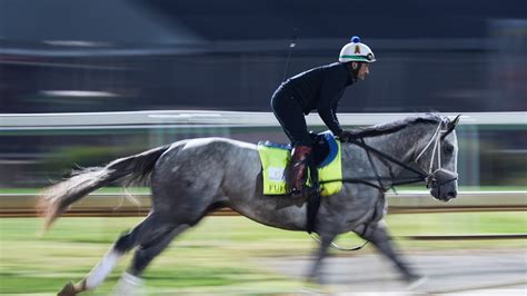 Kentucky Derby 2026 scratches so far. What does it mean?