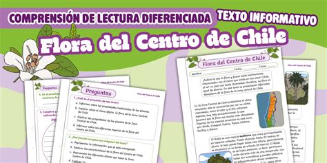 Comprensión de Lectura | Texto Informativo | Lenguaje|3°|4°