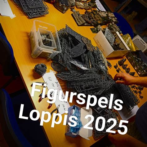 Figurspels Loppis , Blommelundsgatan 3 B Norrköping , 25 January 2026 ...