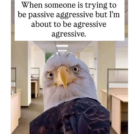 When I'm About To Be Aggressive Aggressive GagBase | AI-powered meme search engine and encyclopedia