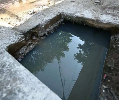 After humans, water-borne infection affects animals in Ferozepur village
