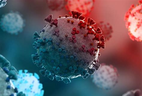 Tris-HCl Buffer (pH 8.4) - Alta DiagnoTech