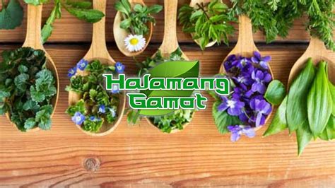 Go - 10 Brain Foods Para sa Mas Malinaw na Pag-iisip #GoOrganique # ...