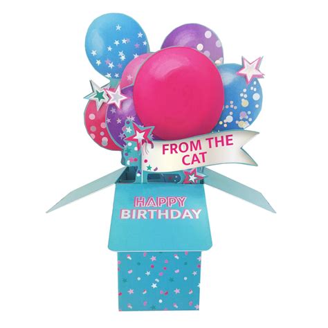 Clever Cubes From The Cat Pop Up Birthday Card For Cat Mum 3D Cube Car ...