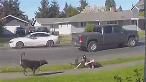 As Trump hosts Congo and Rwanda's leaders for peace deal, here's what to know about the conflict ...