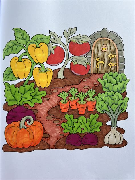 Pin by Snježana Meštrović on vrt | Easy drawings, Book art projects ...