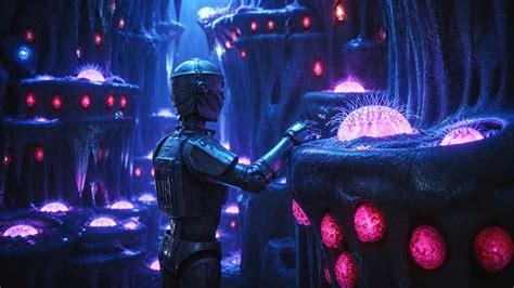 Dreamwalk Park turns reality into visual experience