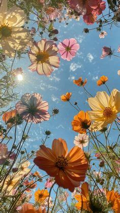 Scopri 330 IMMAGINI FIORI e idee su fiori | immagini, bellissimi fiori ...