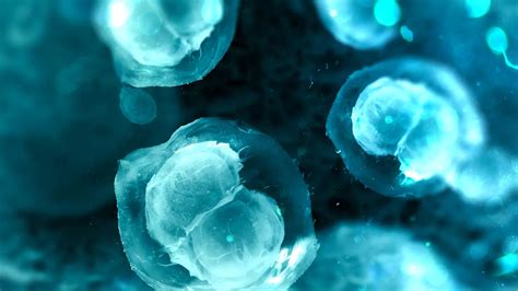 Cellular Senescence in Aging-Related Diseases: Mechanisms and Therapeutic Targets | Frontiers ...