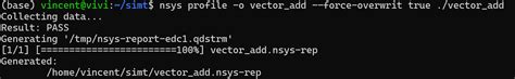 NVIDIA GPU - NVIDIA Nsight_nvidia system 中process summary and module ...