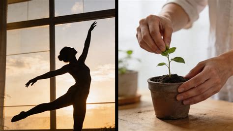 What Is Occupational Therapy vs Physical Therapy: Explained