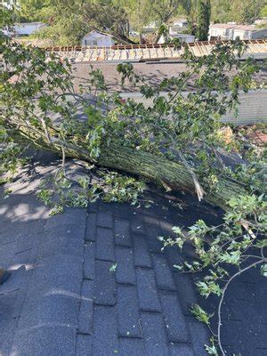 ROOTS AND RISE LANDSCAPING - Updated February 2026 - Request a Quote ...