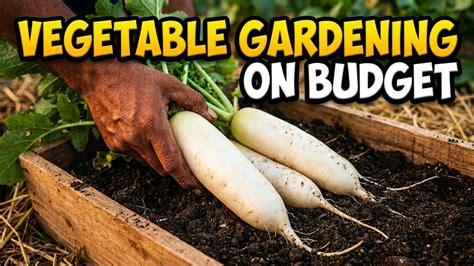 Grow vegetables at home on a budget: Easy gardening ideas
