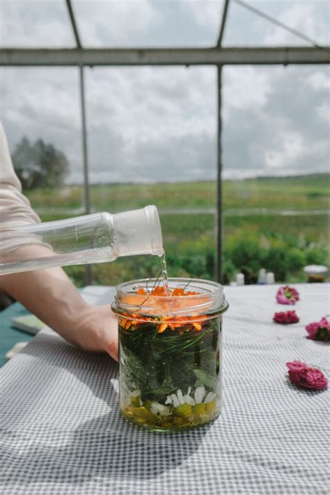 The Serviceberry Road Trip - Icarus Complex