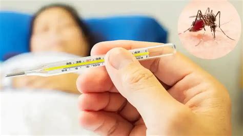 ಶೀಘ್ರವೇ ಭಾರತದಲ್ಲೂ ಡೆಂಘೀ ಲಸಿಕೆ ಲಭ್ಯ-ಕ್ಯುಡೆಂಗಾ ಲಸಿಕೆ ಆಮದಿಗೆ ಸಿಡಿಎಸ್‌ಸಿಒ ...