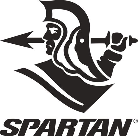 Kashmir Willow Cricket Bat – Complete Buying Guide for Beginners & Clu ...