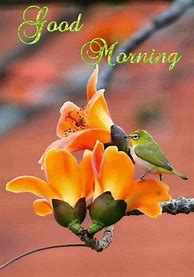 Image result for Animated Good Morning Beautiful