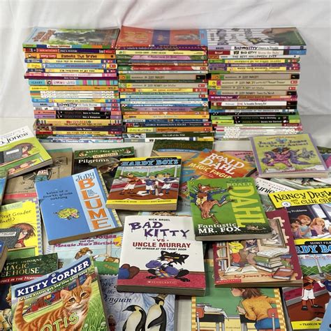 Lot of 25 Random Kids' Chapter Books Bulk Set, Good Condition