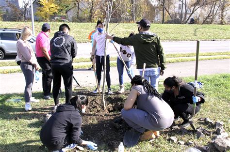 Re-Tree Trees Available for Buffalo Street Planting this April ...