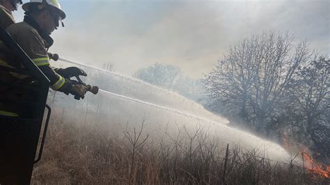 What caused the Gulf Shores fire? How many acres burned? What we know