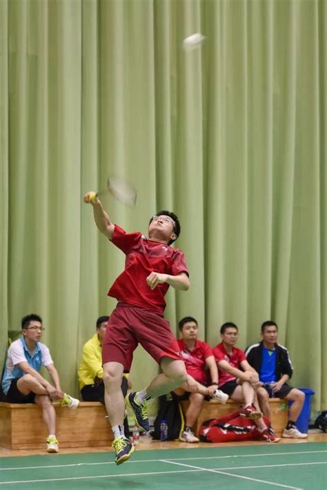 羽毛球 的图像结果