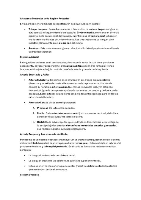 Anatomía Muscular y Arterial de la Región Posterior del Brazo - Studocu