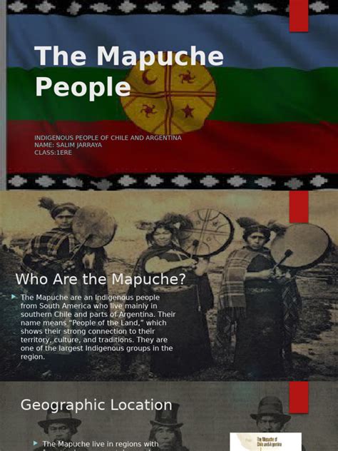 The Mapuche People SALIM | PDF | Indigenous Peoples | Ethnicity