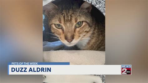 More pets of the week for April 14, 2026