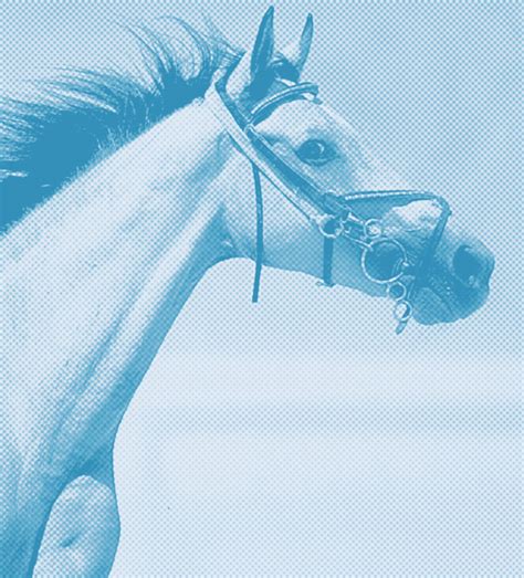 Dubai World Cup 2026 Races On Despite War - Del Mar Today