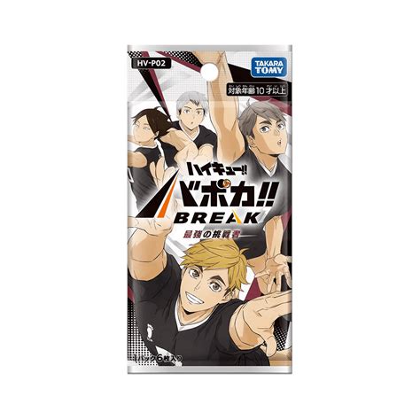 Haikyu!! Vobaca!! BREAK - HV-P02 - Panda Collecting