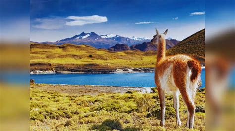 5 unique national parks in South America where waterfalls, wildlife and ...