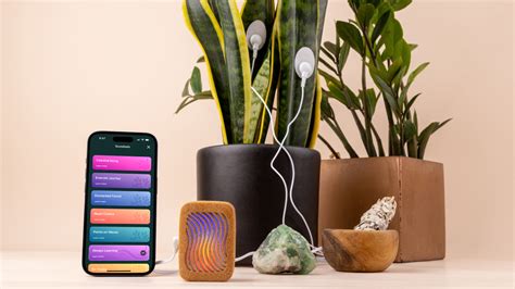 What Is Biosonification? Turning Biological Signals Into Sound – PlantWave