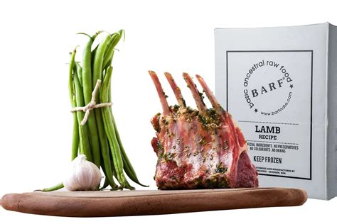 Maine Coon Cat Breed: The Complete Guide to this Gentle Giant.