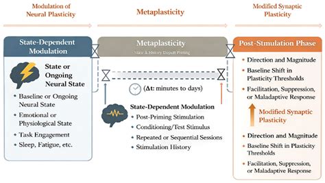 Understanding State-Dependent and Metaplastic Mechanisms in Cognitive ...