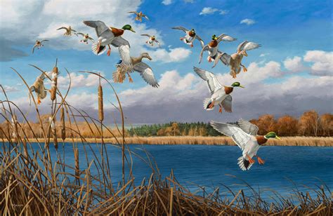 Anderson: Artist and duck hunter David Maass dies at 96