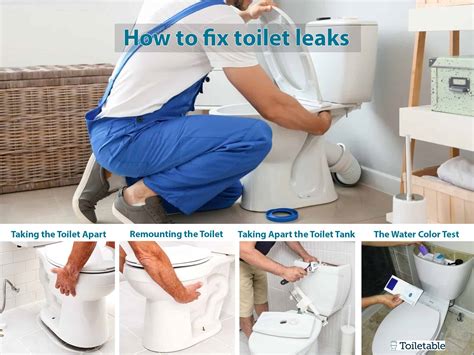 How To Fix A Toilet From Leaking Media Collection 2026: Vids & Pics #701