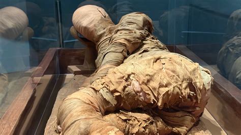 Emory University museum is home to a 4,000-year-old mummy