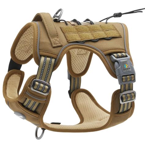 Buy Zoivane Harness for Dogs (Black & Green) online at Supertails.com