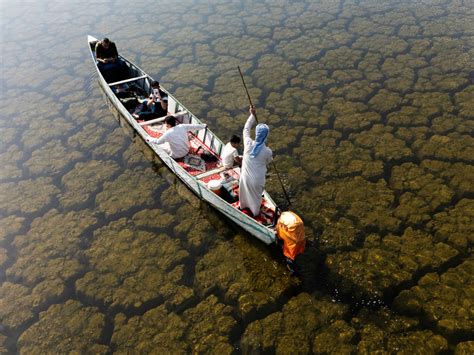 Rains revive Iraq’s wetlands after years of drought | Climate News | Al Jazeera