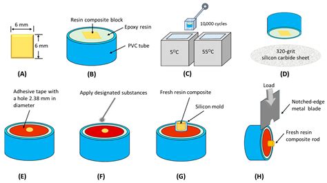 Effect of an Adhesive-Enhancing Primer on Shear Bond Strength in ...