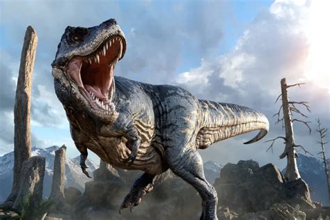 Tyrannosaurus Rex News & Latest Pictures From Newsweek.com
