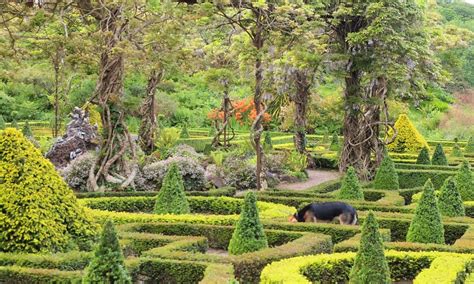 WILD WILD WEST FARM (Bantry) - Lodging Reviews, Photos, Rate Comparison ...