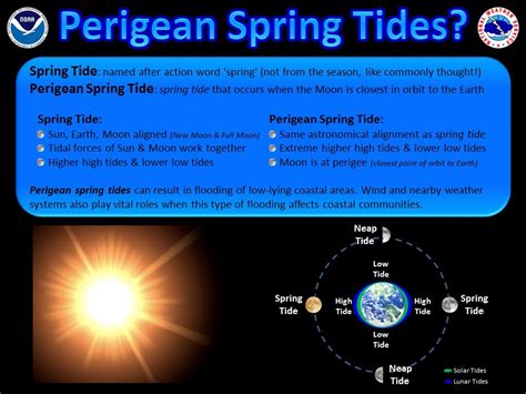 Florida's water problem: the weather, Earth, Moon, and Sun are aligned to cause coastal flooding