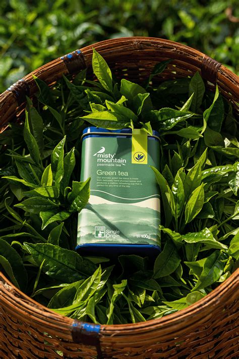 Buy Organic Green Tea Leaves Online In India– Misty Mountain