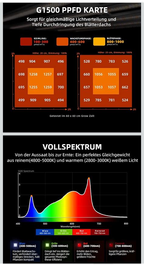 Monster Buds! Zamnesia 🧑‍🧑‍🧒‍🧒 Grow Together - Growreports - Forum ...
