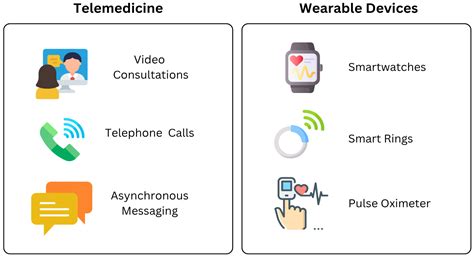 Remote Patient Monitoring Applications in Healthcare: Lessons from COVID-19 and Beyond