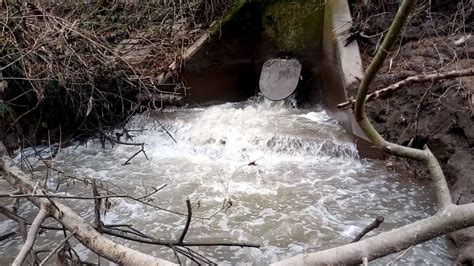 Water companies flushing antibiotic-resistant bacteria into UK rivers ...